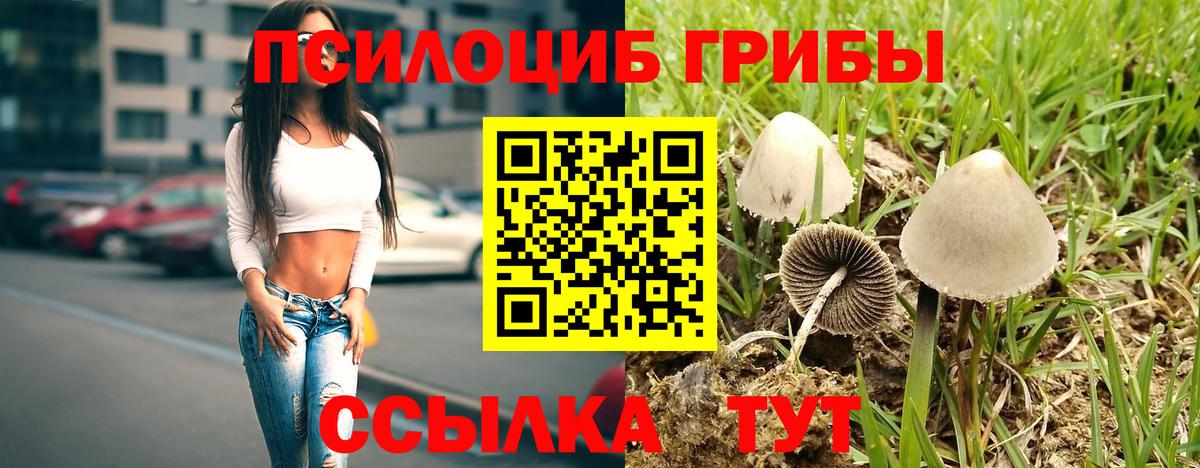 купить  цена  Галлюциногенные грибы мицелий  Вход с VPN  Псилоцибиновые грибы прущие грибы  Кулебаки 